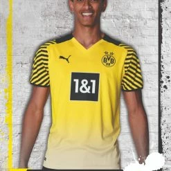 Collectors City TOPPS Borussia Dortmund CHROME SET -star wars shop 4b154af2 e6c2 4170 a26d 95a9b77be738