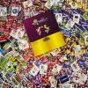 Panini EM Euro 2012 Deluxe Set - Alle Sticker + Hardcover Album